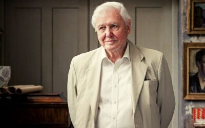 95 éves David Attenborough