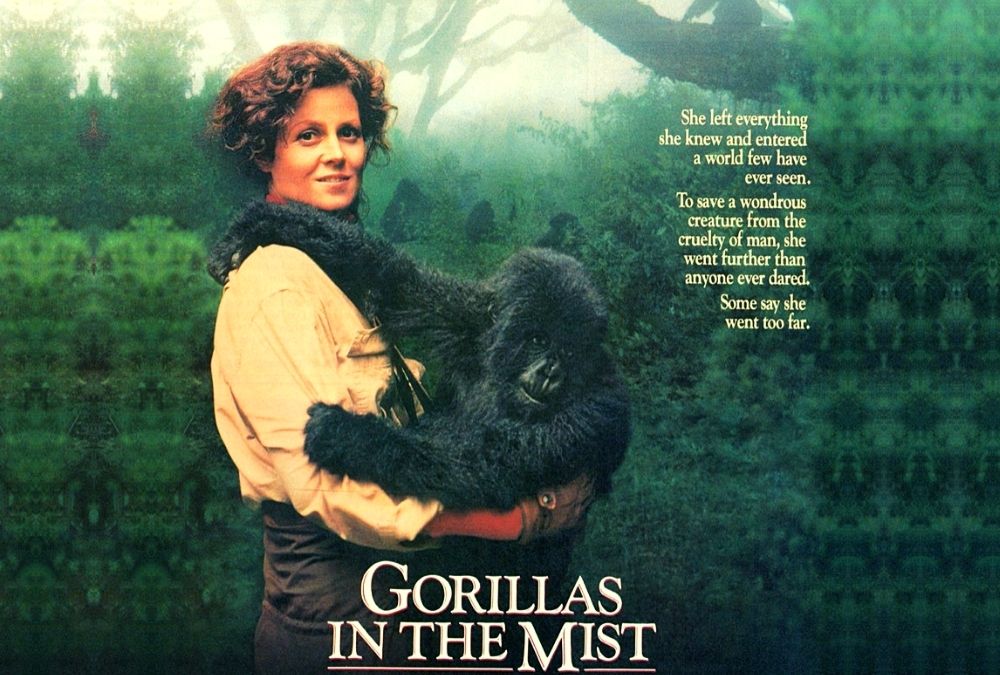 Gorillák a ködben – Dian Fossey emlékére